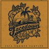 FACEDOWN RECORDS SUMMER SAMPLER 2016