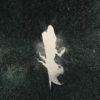WOA_Single_Void