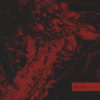 dens foolish HIGH RES 1600X1600
